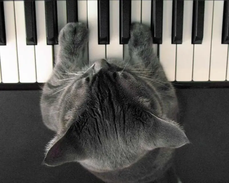 Andachtsbild von Sternchenpost⭐