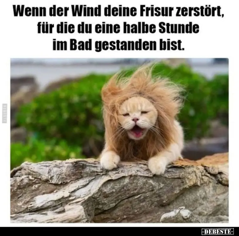 Andachtsbild von Post von Gatita, Schnuffi, Mausi und Timmy an Katzenmutti Silvia 