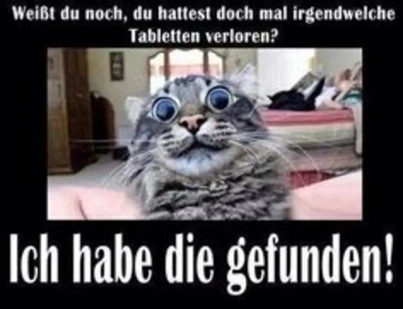 Andachtsbild von Post von Gatita, Schnuffi, Mausi und Timmy an Katzenmutti Silvia 