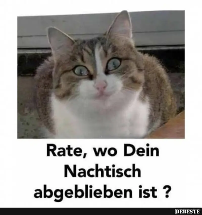 Andachtsbild von Post von Gatita, Schnuffi, Mausi und Timmy an Katzenmutti Silvia 