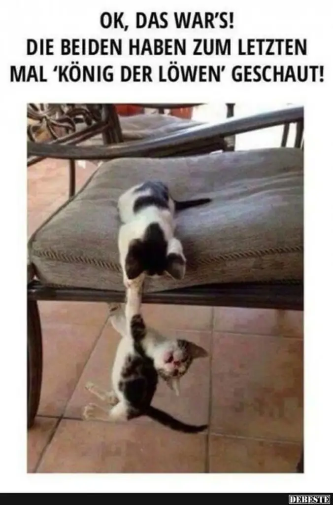 Andachtsbild von Post von Gatita, Schnuffi, Mausi und Timmy an Katzenmutti Silvia 