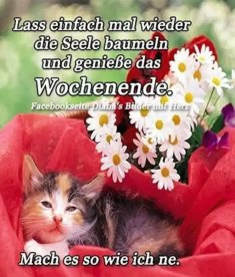 Andachtsbild von Post von Tanja an Gatita 