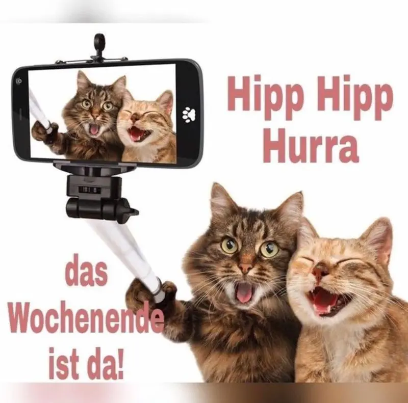 Andachtsbild von Für Gatita und Mama Silvia ♥️