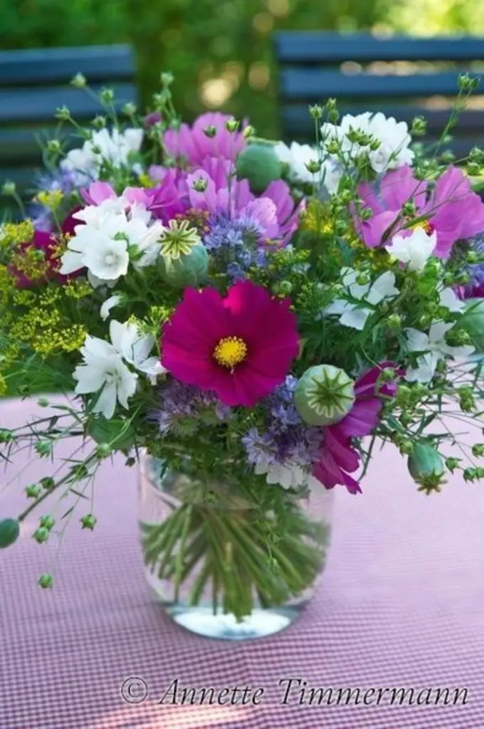 Andachtsbild von Post von Gatita ❤