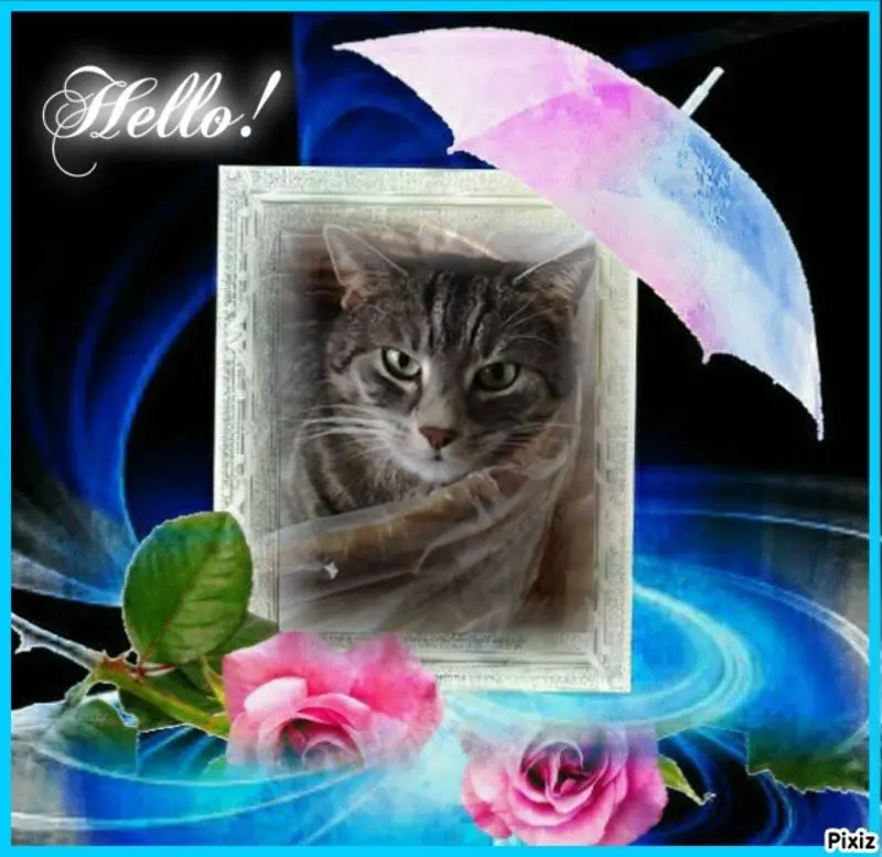 Andachtsbild von Sternchenpost ⭐