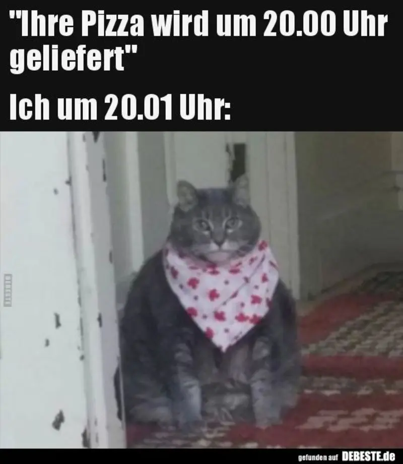 Andachtsbild von Post von Gatita, Schnuffi, Mausi und Timmy an Katzenmutti Silvia 