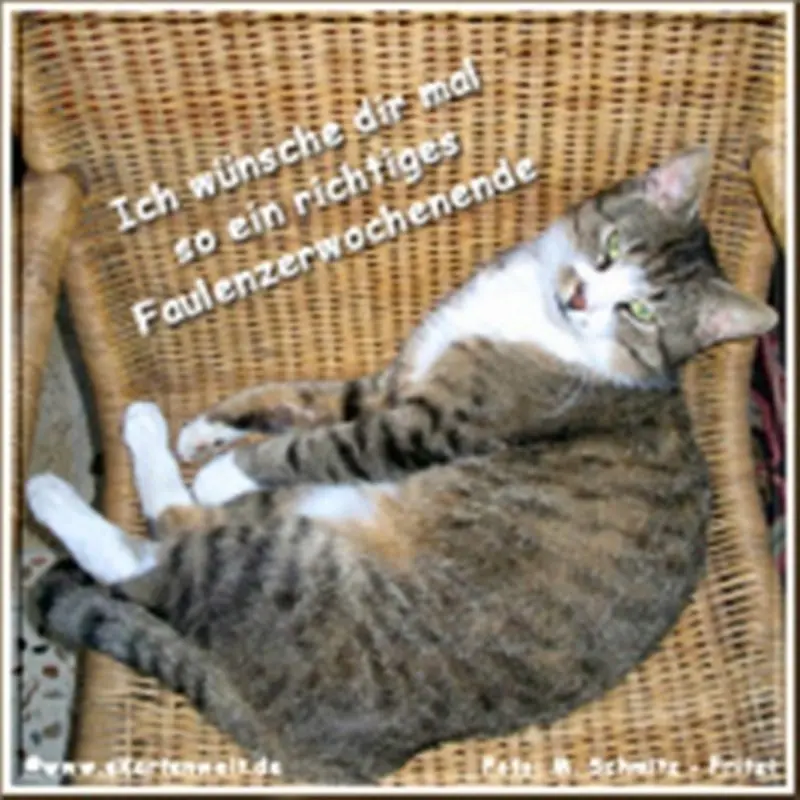 Andachtsbild von Post von Tanja an Gatita 