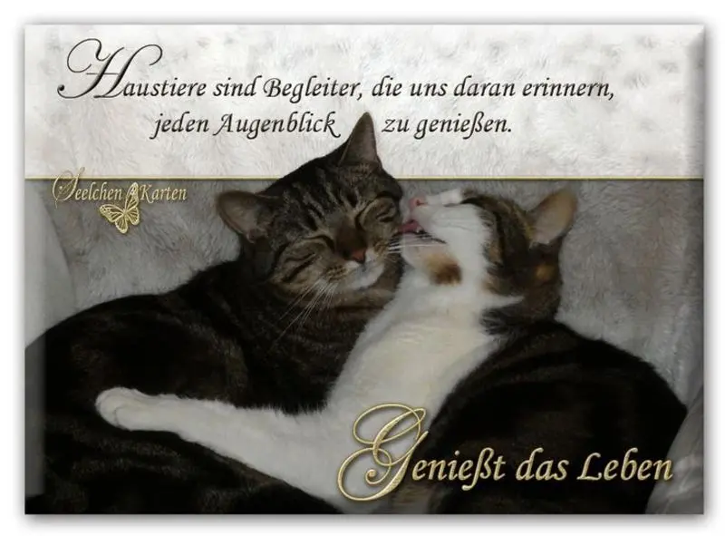 Andachtsbild von Für Gatita und Mama Silvia ♥️