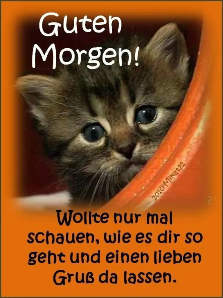 Andachtsbild von Patricia mit Bunny 