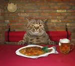 Andachtsbild von Post von Timmy an Katzenmutti Silvia 