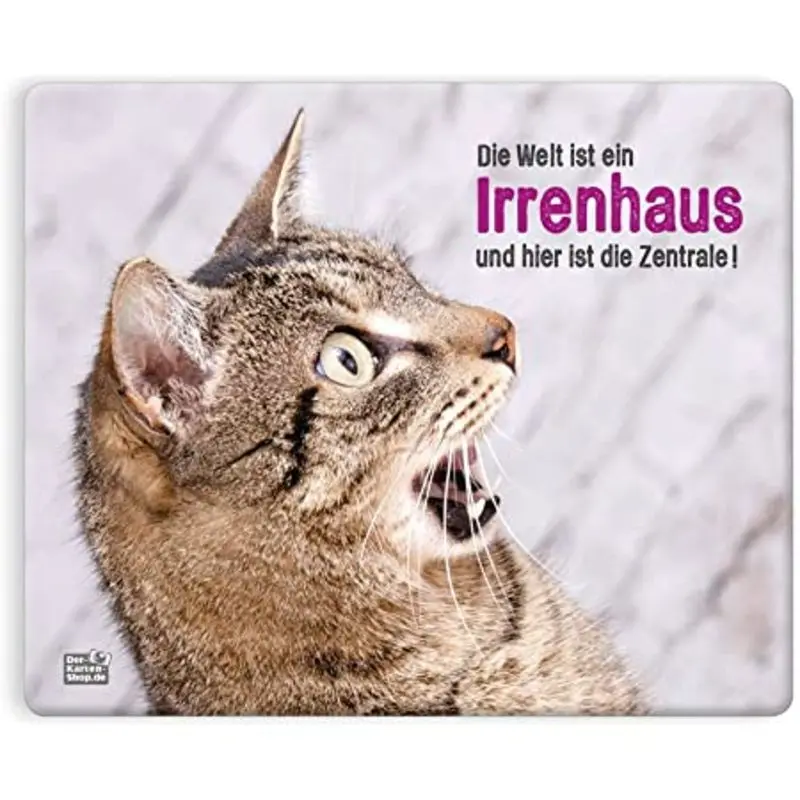 Andachtsbild von Post von Gatita, Schnuffi, Mausi und Timmy an Katzenmutti Silvia 