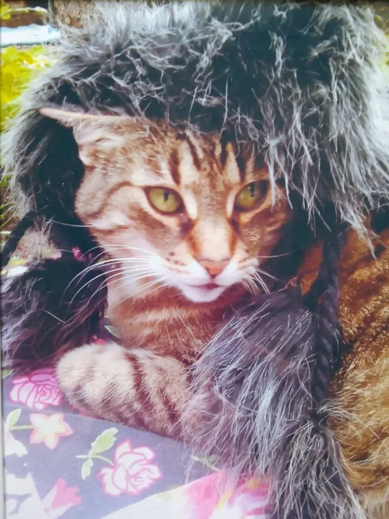 Andachtsbild von Für Gatita und Mama Silvia ♥️