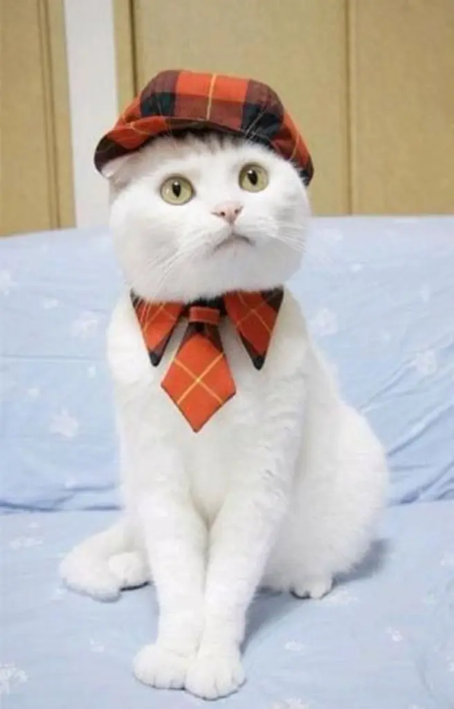 Andachtsbild von Für Gatita von Lissy♥️