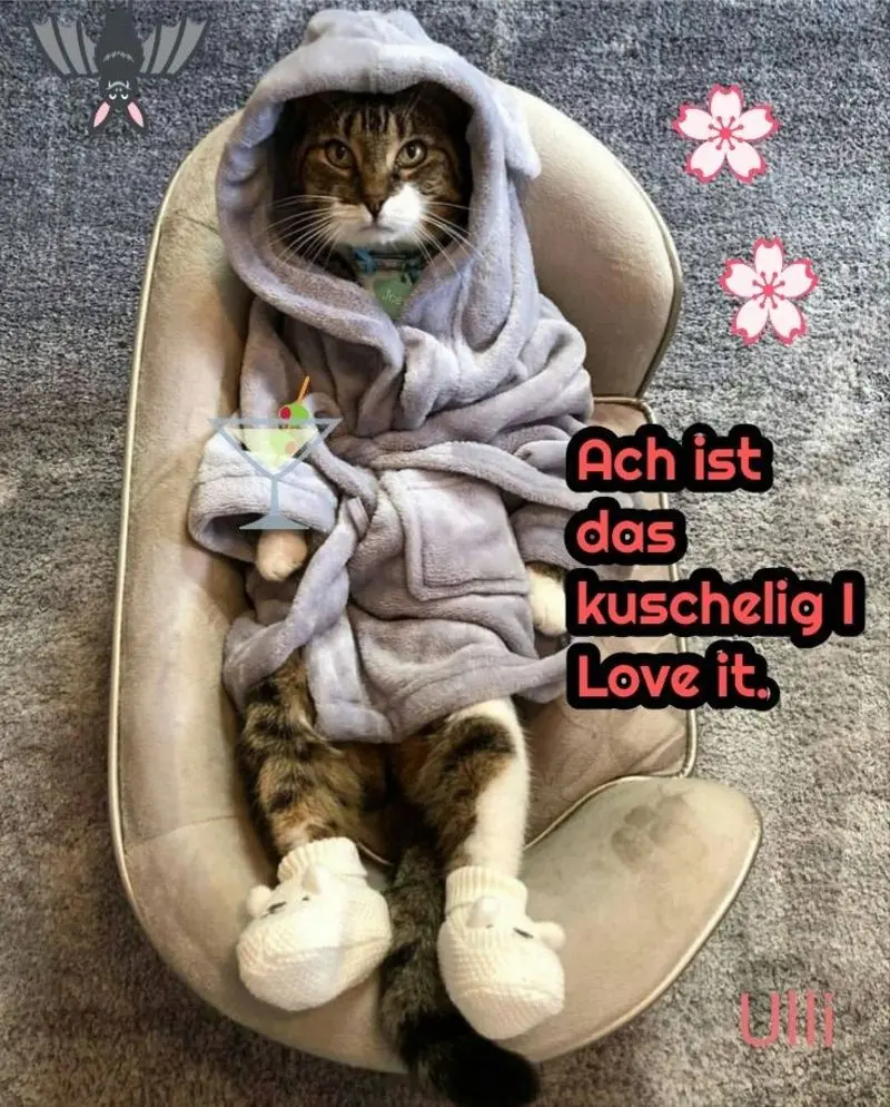 Andachtsbild von Post von Gatita, Schnuffi, Mausi und Timmy an Katzenmutti Silvia 