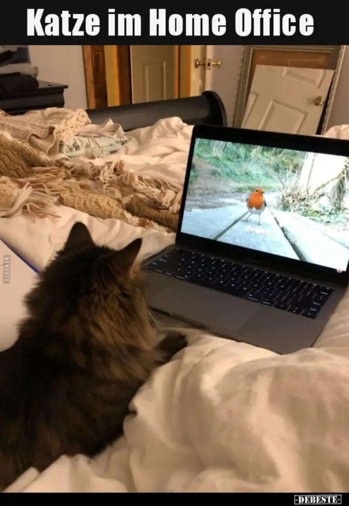 Andachtsbild von Post von Gatita, Schnuffi, Mausi und Timmy an Katzenmutti Silvia 