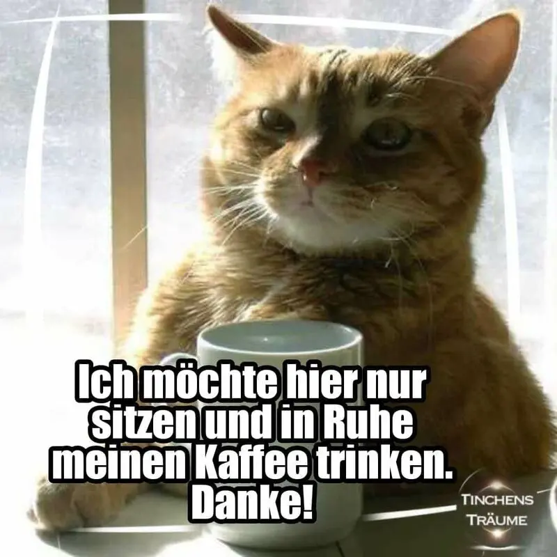 Andachtsbild von Post von Gatita, Schnuffi, Mausi und Timmy an Katzenmutti Silvia 