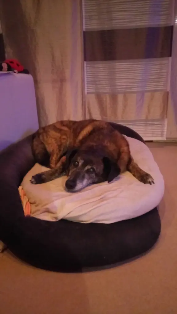 Andachtsbild von Gabi mit Max 