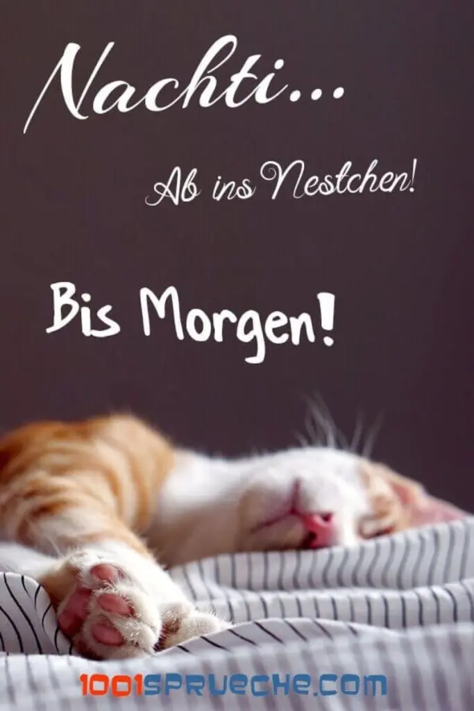 Andachtsbild von Sternchenpost⭐