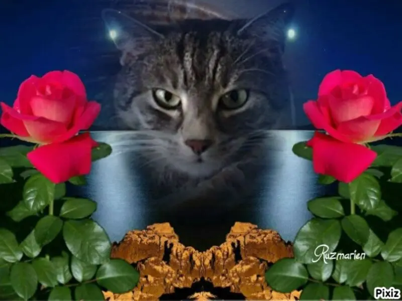 Andachtsbild von Sternchenpost ⭐