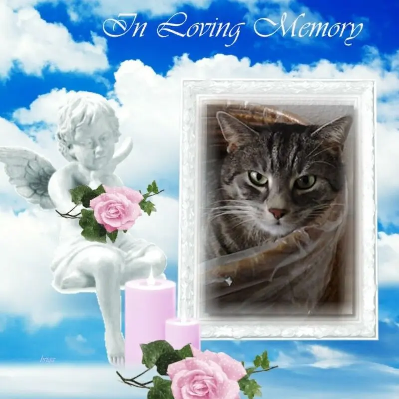 Andachtsbild von ❤️❤️❤️❤️❤️❤️❤️❤️❤️❤️❤️❤️❤️❤️