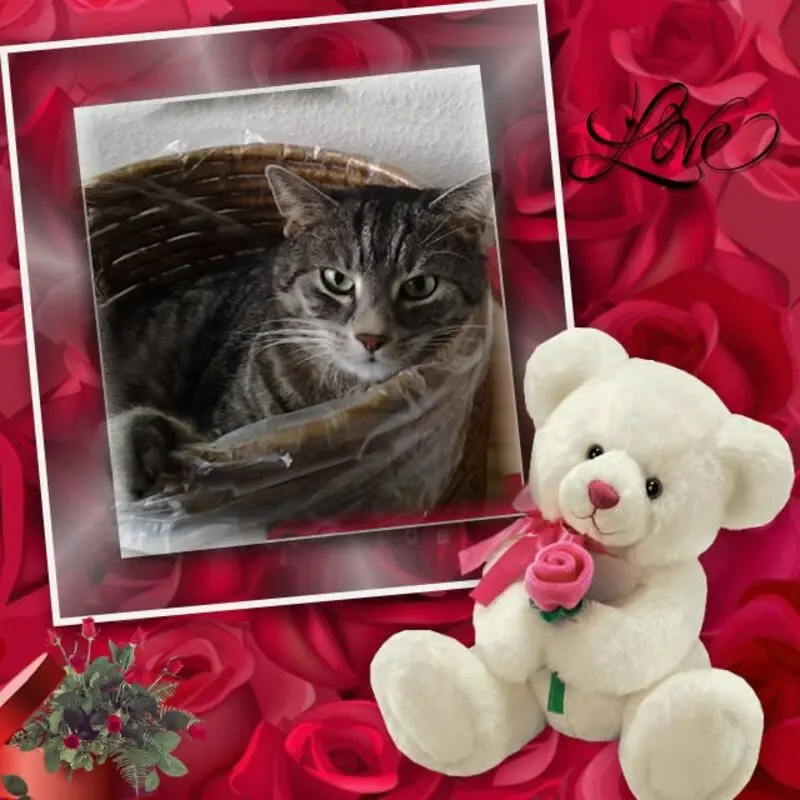 Andachtsbild von ❤️❤️❤️❤️❤️❤️❤️❤️❤️❤️❤️❤️❤️❤️