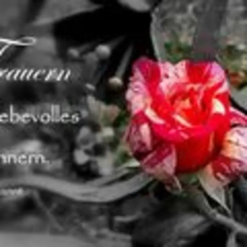 Andachtsbild von In stillem Gedenken an Silvia