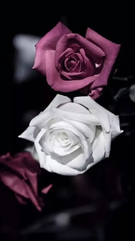 Andachtsbild von In Liebe ❤