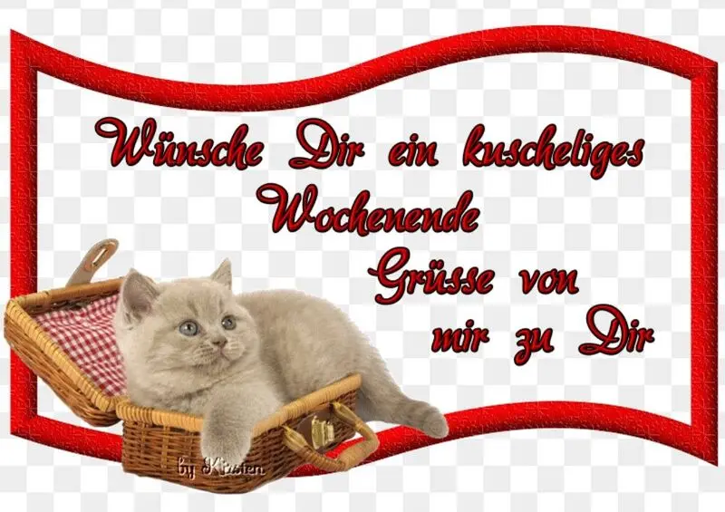 Andachtsbild von Von Timmys Mutti Tanja an Gatita 