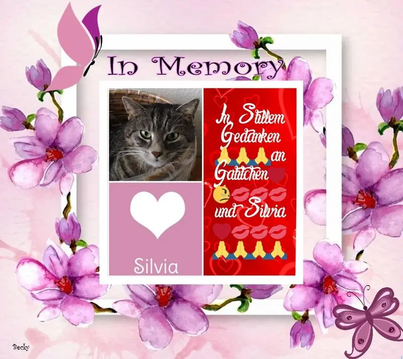 Andachtsbild von ❤️❤️❤️❤️❤️❤️❤️❤️❤️❤️❤️❤️❤️❤️