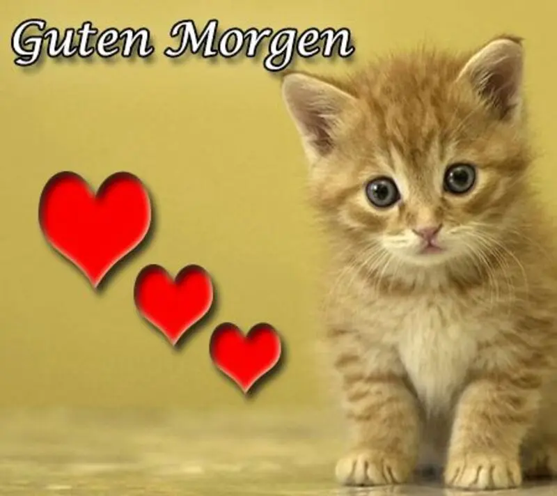 Andachtsbild von Patricia mit Bunny 