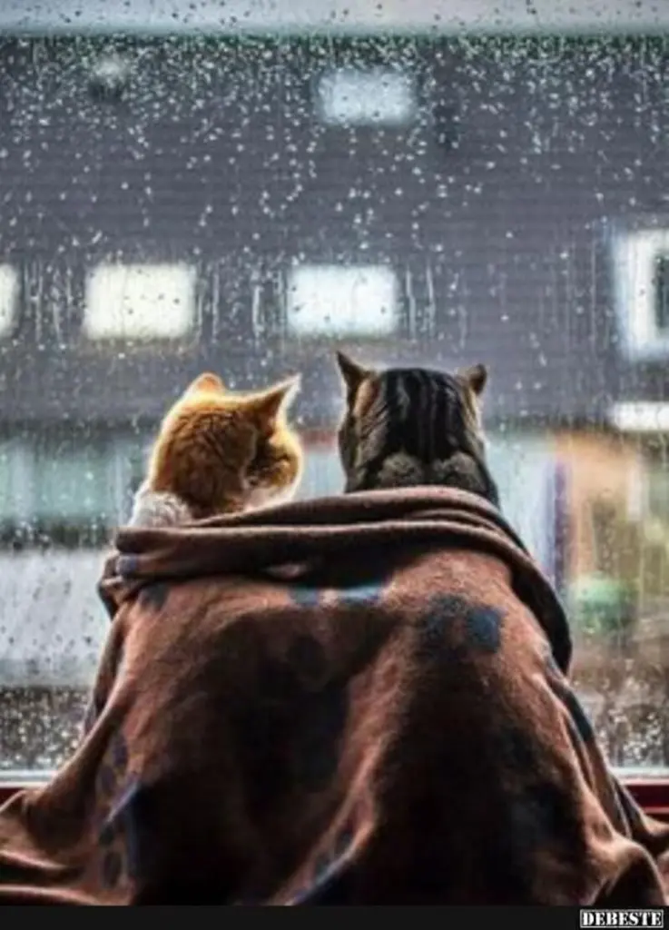 Andachtsbild von Post von Minki ❤