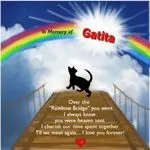 Andachtsbild von Timmys Mutti Tanja an Gatita 