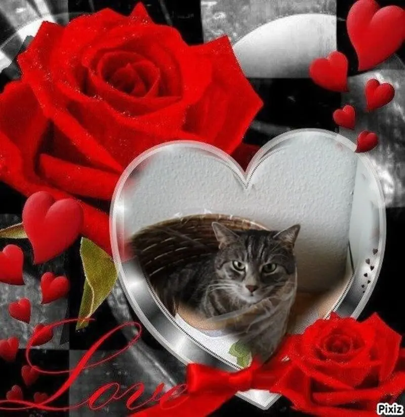 Andachtsbild von Sternchenpost ⭐