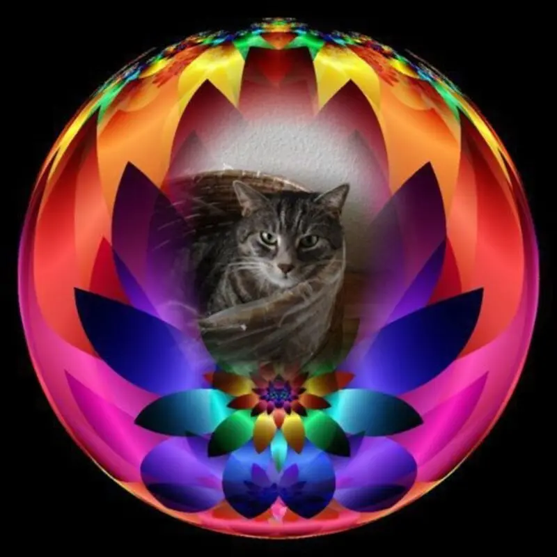 Andachtsbild von Andrea mit Minki im ❤