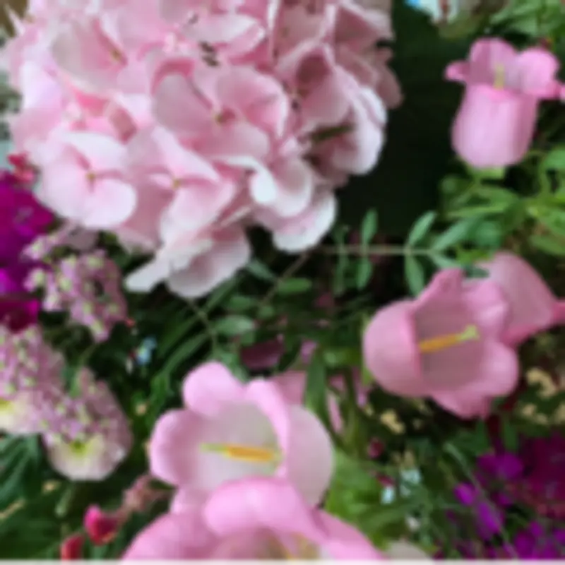 Andachtsbild von Anja mit Maja & Gräuli im ༺❤️༻