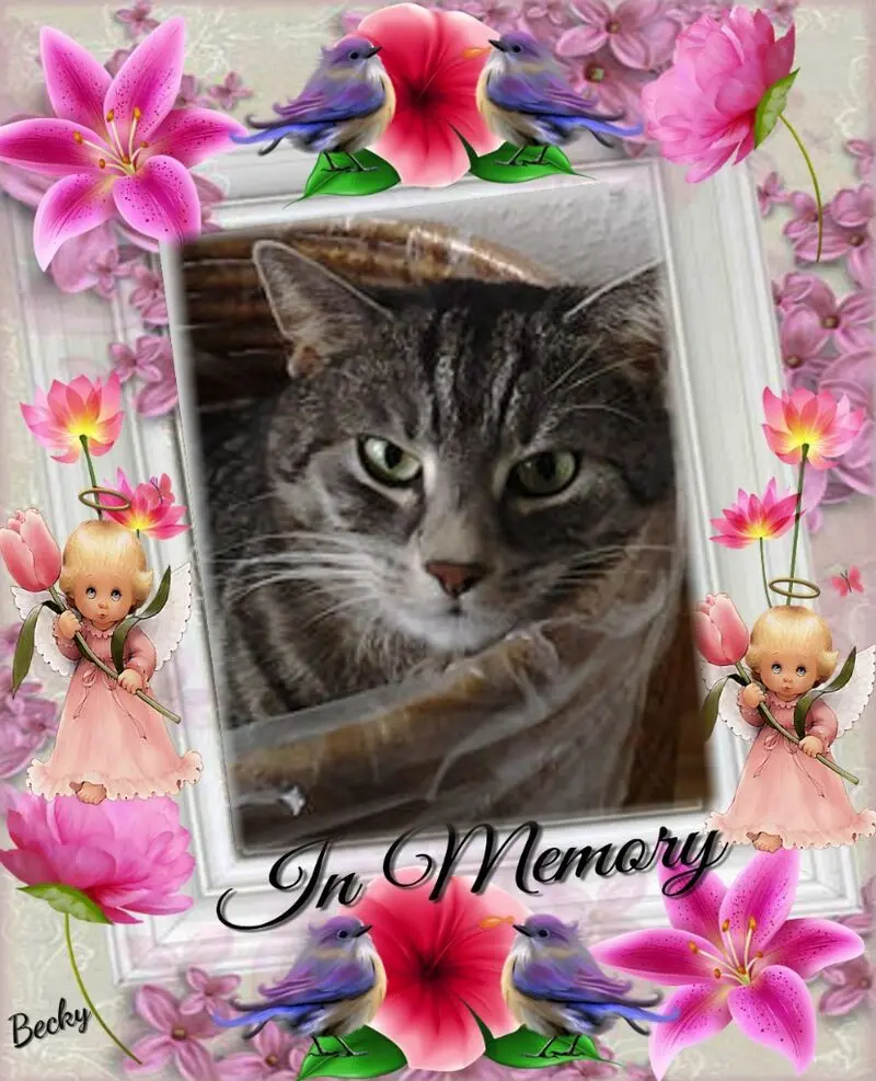 Andachtsbild von Unbekannt