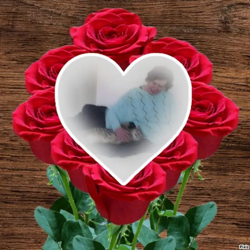 Andachtsbild von Post von Timmys Mutti Tanja an Gatita 