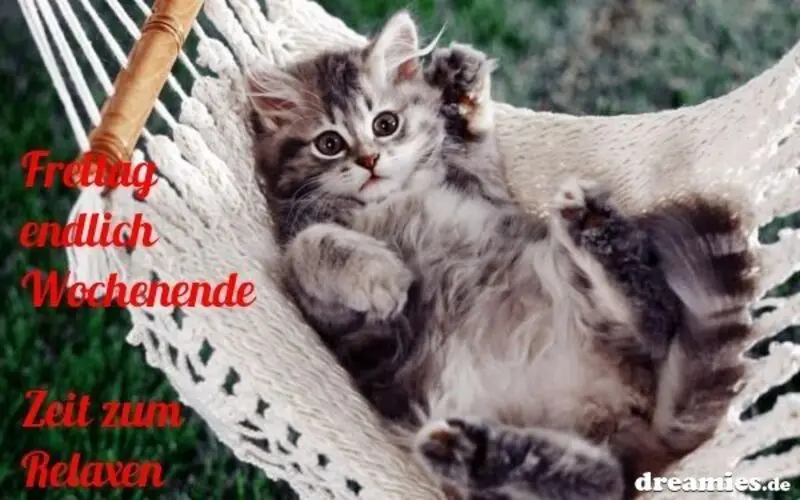 Andachtsbild von Patricia mit Bunny 