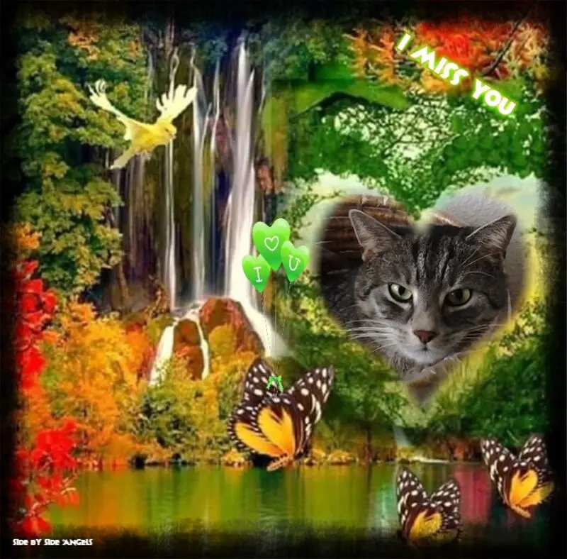 Andachtsbild von ❤️❤️❤️❤️❤️❤️❤️❤️❤️❤️❤️❤️❤️❤️