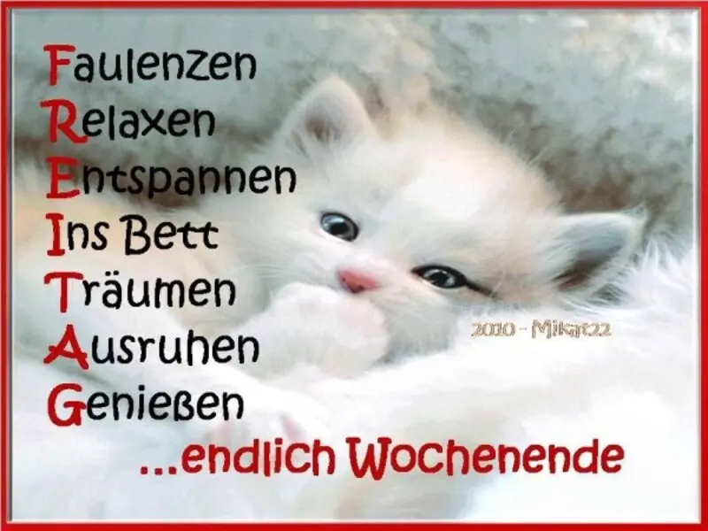 Andachtsbild von Patricia mit Bunny 