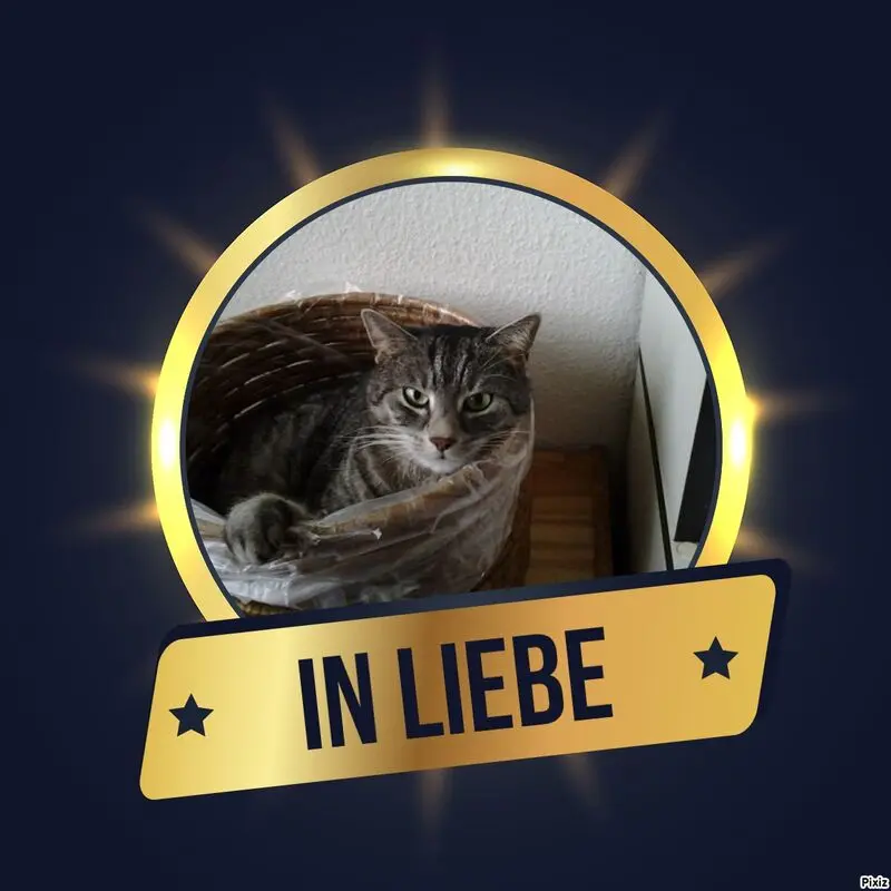 Andachtsbild von Sternchenpost ⭐