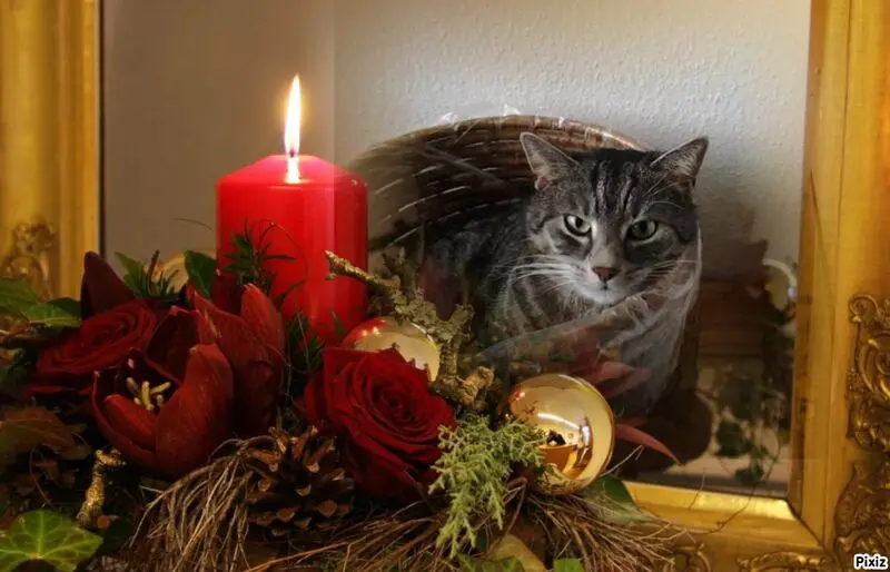 Andachtsbild von Patricia mit Bunny 