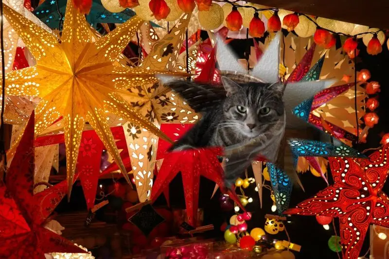 Andachtsbild von Andrea mit Minki im ❤