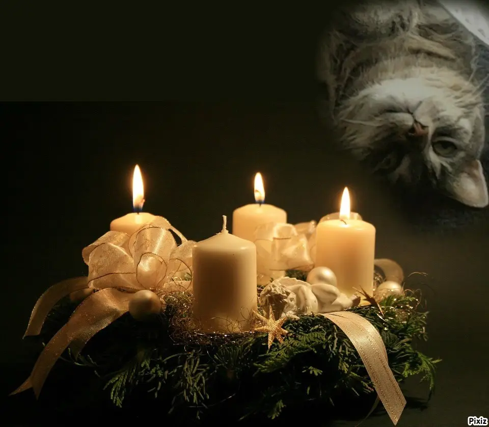 Andachtsbild von Timmys Mutti Tanja an Gatita 