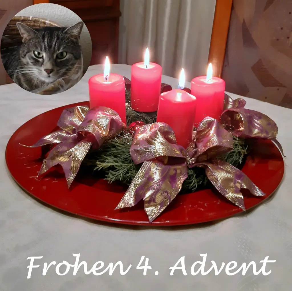 Andachtsbild von Patricia mit Bunny 