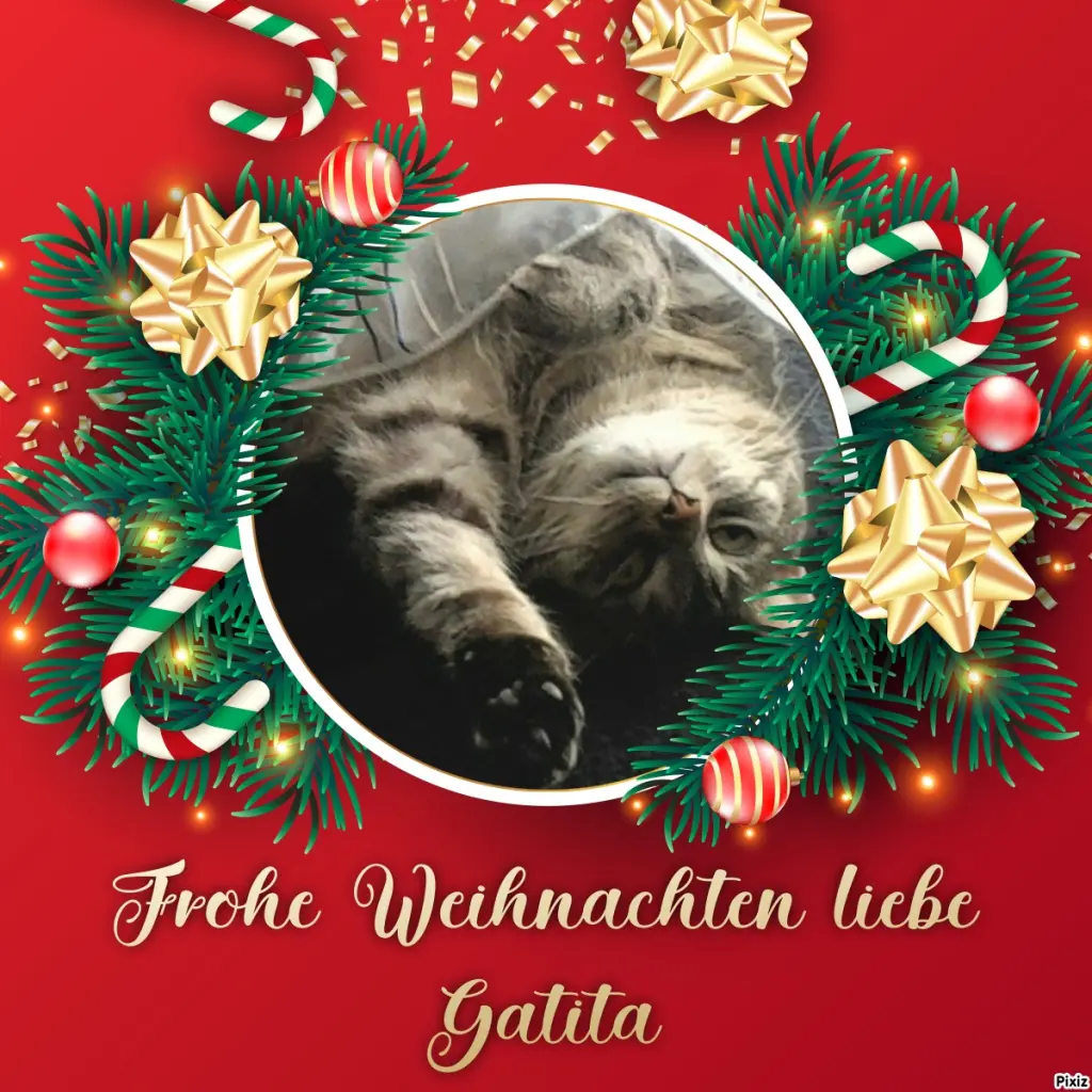 Andachtsbild von Timmys Mutti Tanja an Gatita 