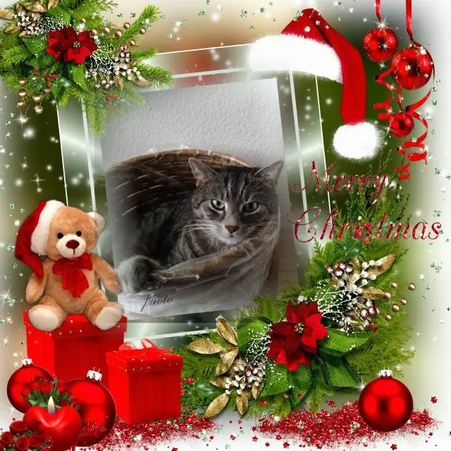 Andachtsbild von Patricia mit Bunny 