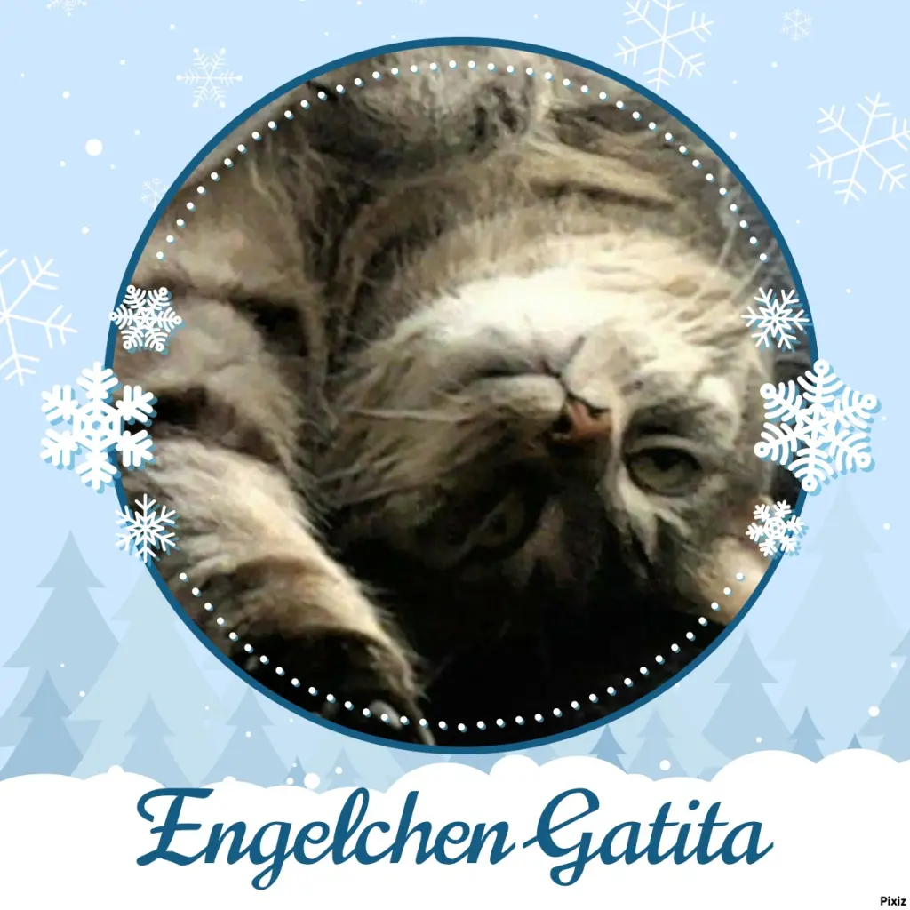 Andachtsbild von Timmys Mutti Tanja an Gatita 