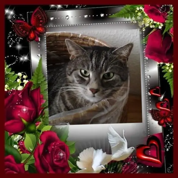 Andachtsbild von Sternchenpost ⭐