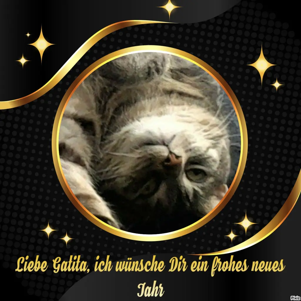 Andachtsbild von Timmys Mutti Tanja an Gatita 